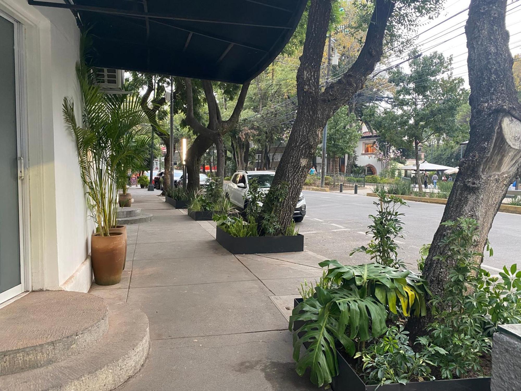 Casa Corp Boutique Suites In Condesa เม็กซิโกซิตี้ ภายนอก รูปภาพ